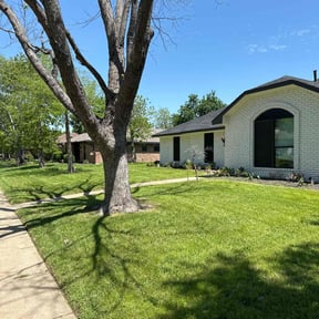 Lawn Mowing by Rhoyalty Lawn Care, LLC reviewed on August 15, 2025