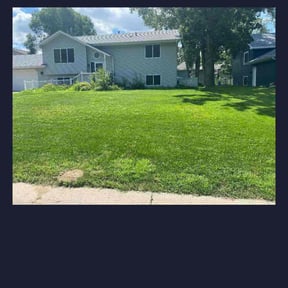 Bush Trimming by USA Lawncare Inc reviewed on August 20, 2025