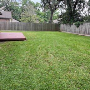 landscaping services by Micha's Mowing Services, LLC reviewed on August 18, 2025