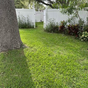 landscaping by Lawnsbylex reviewed on August 16, 2025