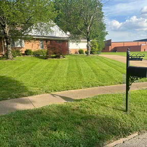 gardening service by LG Lawn Services reviewed on August 20, 2025