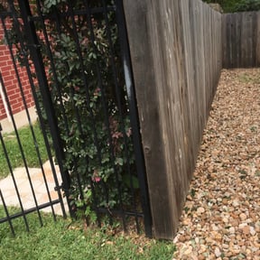 Bush Trimming by Auggie’s Lawn Care reviewed on August 17, 2025
