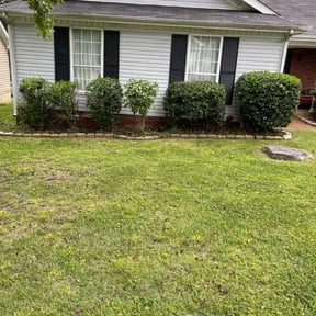 Bush Trimming by Gmiller & HMR Lawncare& Landscape reviewed on August 16, 2025