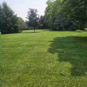 gardening service by Casper lawn servise reviewed on August 18, 2025