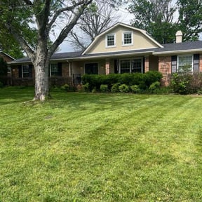 yard maintenance by Ben's renovation reviewed on December 12, 2025