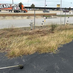 Bush Trimming by Grateful Green Lawn Care reviewed on December 10, 2025