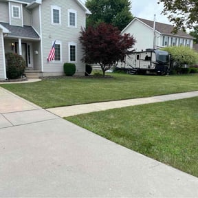 yard work by Family lawn and tree service llc reviewed on August 20, 2025