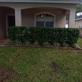 Bush Trimming by Blazin Scapes LLC reviewed on November 24, 2025
