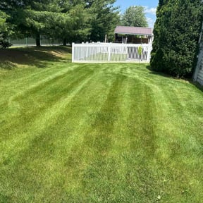 landscaping services by All Season's reviewed on August 15, 2025