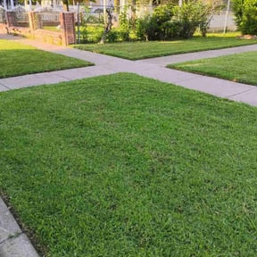 lawn care by SJ Homes &amp; Lawn Care reviewed on August 18, 2025