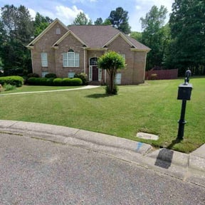 yard work by Lawntastic Home Service reviewed on August 20, 2025