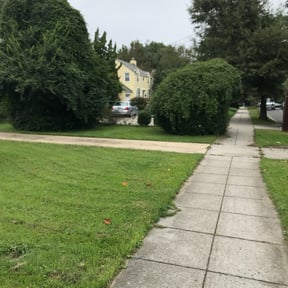 Bush Trimming by Grass Munchers reviewed on August 19, 2025