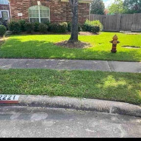 yard care by Antonio’s Lawn Care reviewed on November 24, 2025