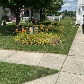 turf maintenance by Browning Lawn Care reviewed on April 19, 2024