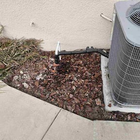 Flower Bed Weeding by ShiftChange LLC Lawn Service reviewed on August 16, 2026