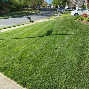 grass cutting by Southern Touch Lawncare reviewed on November 4, 2024