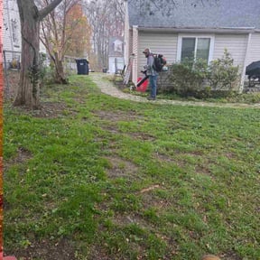 Leaf Removal by Mac's Property Detail reviewed on November 24, 2025