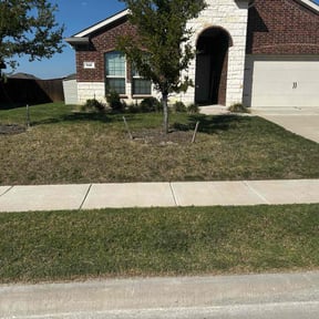 lawn service by A &amp; F Landscaping reviewed on August 25, 2023