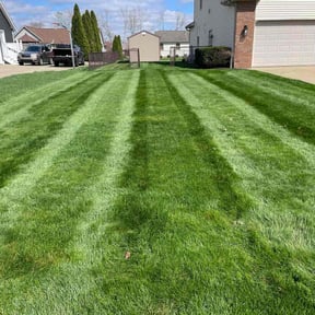 yard maintenance by Toko Lawn Services reviewed on August 21, 2025