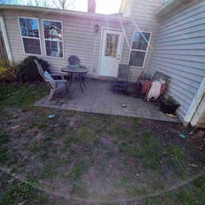 Leaf Removal by Self proprietor reviewed on August 16, 2025