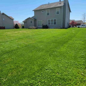 yard care by Thomas Kelly Home Services reviewed on August 21, 2025