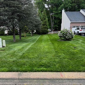 yard service by Rick&#039;s landscaping &amp; construction llc reviewed on May 2, 2024
