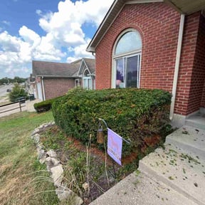 Bush Trimming by Twin Oaks Outdoor Solutions reviewed on November 7, 2025