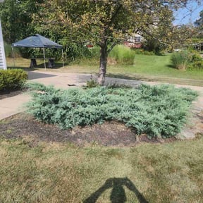 Flower Bed Weeding by L&amp;C LANDSCAPING SERVICES reviewed on November 24, 2025