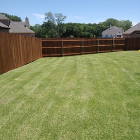 gardening service by True Lawn and Tree Care reviewed on November 21, 2025