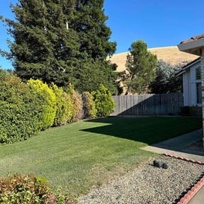 yard maintenance by Scott's Landscaping And Pool Service reviewed on August 19, 2025