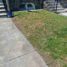 Bush Trimming by ClearCoast Lawn Solutions reviewed on August 21, 2025
