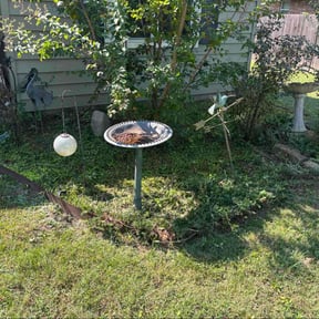 Flower Bed Weeding by Title Landscaping reviewed on November 21, 2025