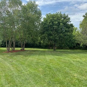 lawn service by Midwest Mow and Landscape Service reviewed on May 23, 2025