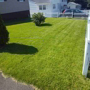 yard maintenance by B&J Lawn and Homecare reviewed on August 19, 2025