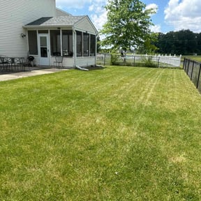 yard work by Keepn It Green reviewed on August 16, 2025