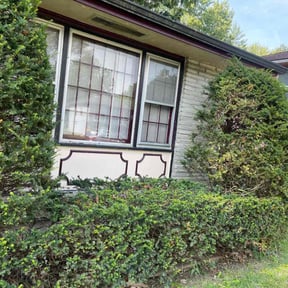 Bush Trimming by Mow-Hawk lawn service reviewed on August 20, 2025