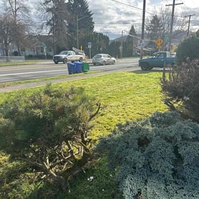 turf maintenance by Top Landscape Maintenance LLC reviewed on May 4, 2025