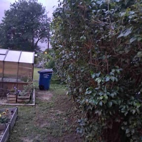 Bush Trimming by Mowing Dr reviewed on May 14, 2026