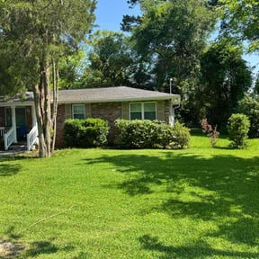 Bush Trimming by Forever Green FG LLC reviewed on August 15, 2025