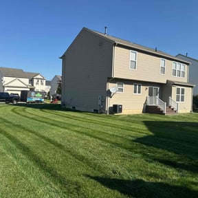 turf care by USA Lawncare Inc reviewed on July 9, 2025
