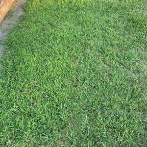 lawn maintenance by Evergreen Lawn Care reviewed on February 9, 2024