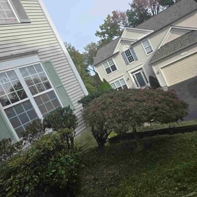 Bush Trimming by C&amp;S Lawn Services reviewed on October 24, 2025