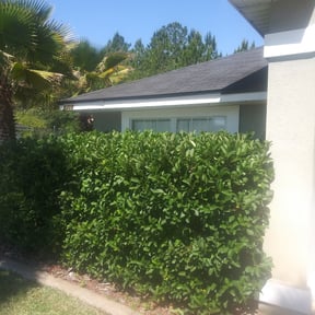 Bush Trimming by Mac&#039;s Property Detail reviewed on March 20, 2024