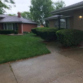 Bush Trimming by Sbm reviewed on August 19, 2025