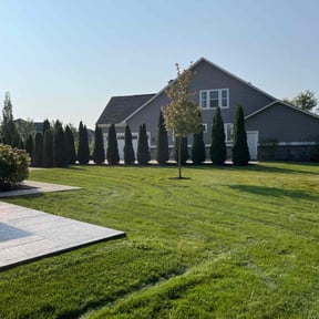 yard work by QA'd Residential Services reviewed on August 20, 2025