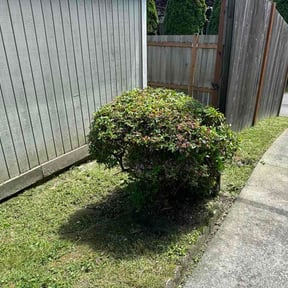 Flower Bed Weeding by His &amp; Hers Landscaping reviewed on June 11, 2026