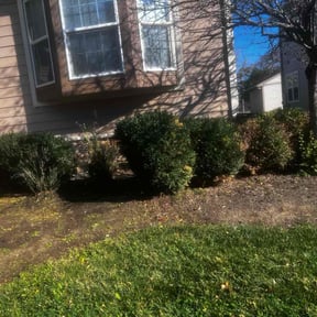 Bush Trimming by L&L Landscape Contractors LLC reviewed on August 16, 2025