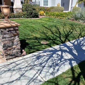turf care by Fierro's Landscaping maintenance and development reviewed on May 12, 2025