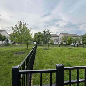 yard work by Express Innovations reviewed on August 20, 2025