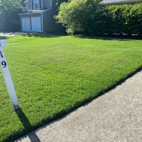 landscaping services by Dave's Lawn Mowing and Trimming reviewed on August 20, 2025